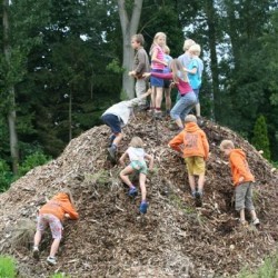 IMG 1764  Medium - Scouts en Gidsen Zaventem 